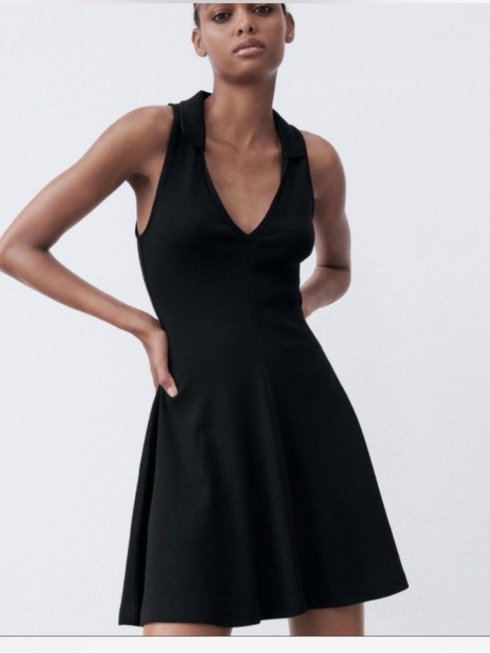 Zara Black Sleeveless V-Neck Fit & Flare Mini Dress